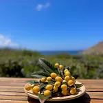 Seaside Karpathos * Arkasa