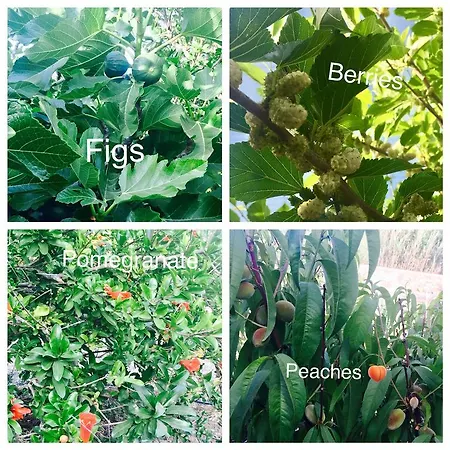 Seaside Karpathos Arkasa