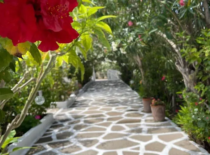 Apartament Seaside Karpathos Arkasa