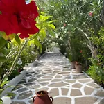 公寓 Seaside Karpathos 阿尔卡萨