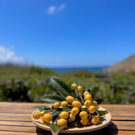 Seaside Karpathos * أركاسا