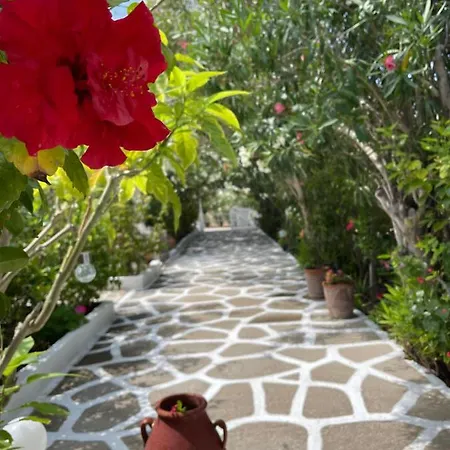 Apartmán Seaside Karpathos Arkasa