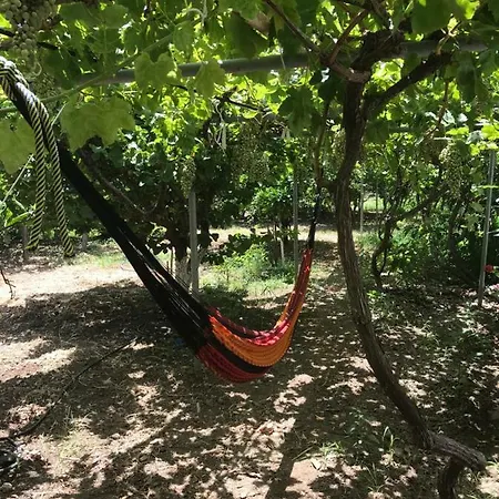 Apartmán Seaside Karpathos *