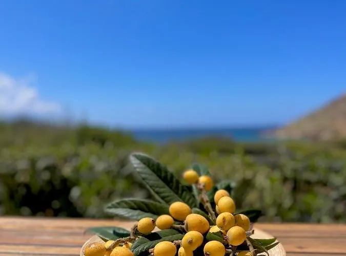 Seaside Karpathos * Arkasa