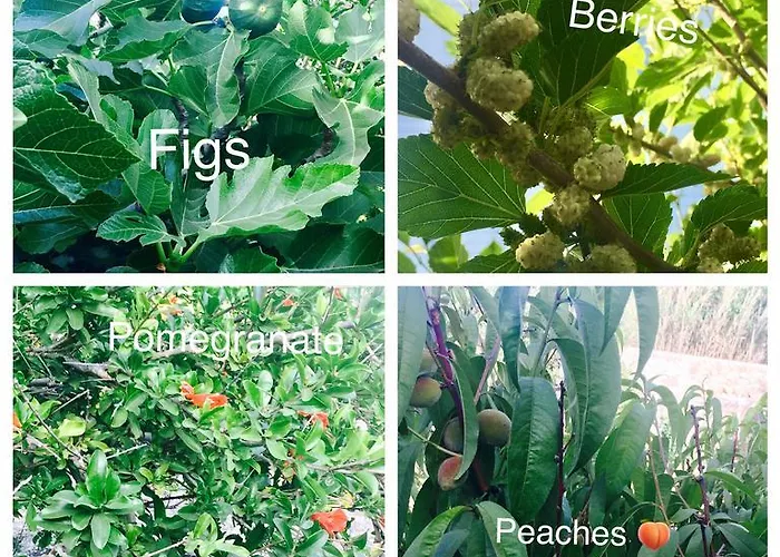 Seaside Karpathos أركاسا