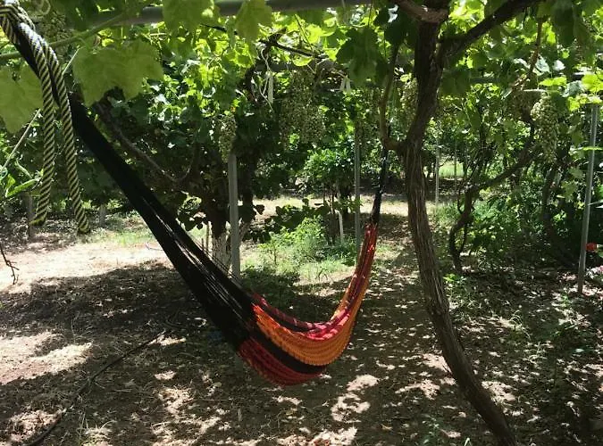 Daire Seaside Karpathos *